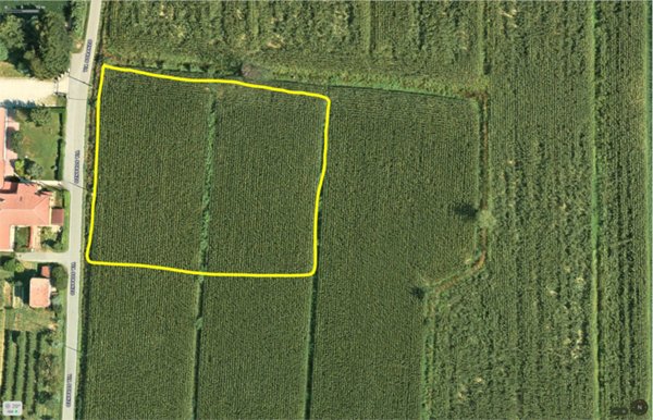 casa indipendente in vendita a Preganziol