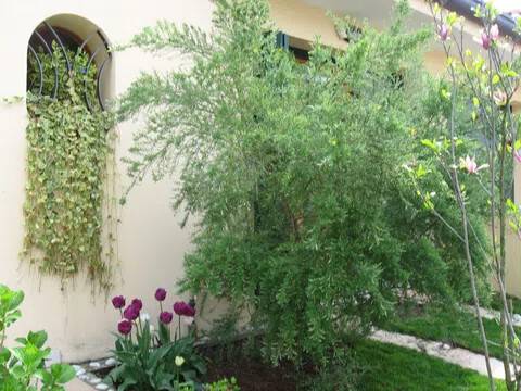 casa indipendente in vendita a Preganziol