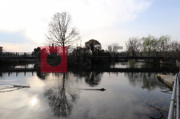 terreno edificabile in vendita a Quinto di Treviso