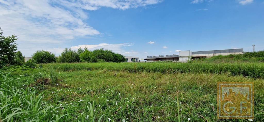 terreno agricolo in vendita a Quinto di Treviso