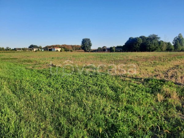 terreno edificabile in vendita a Quinto di Treviso in zona Santa Cristina