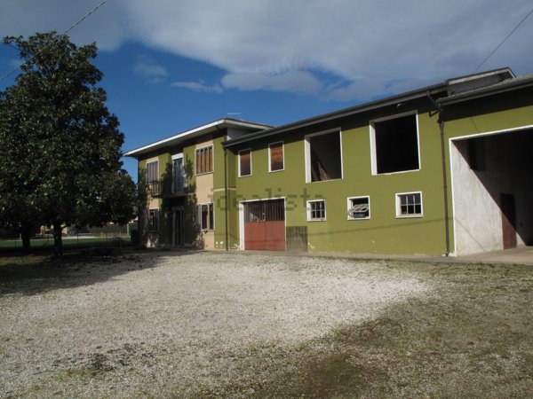 esavano in vendita a Quinto di Treviso