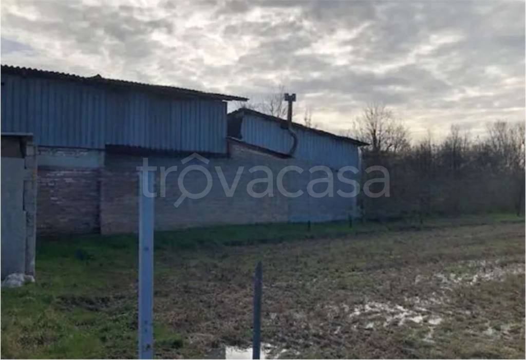 appartamento in vendita a Quinto di Treviso in zona Santa Cristina