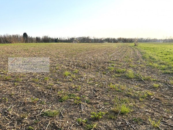 terreno edificabile in vendita a Quinto di Treviso