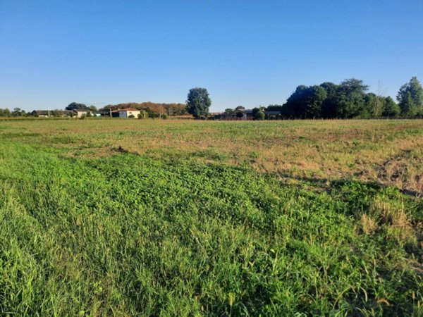 terreno edificabile in vendita a Quinto di Treviso in zona Santa Cristina