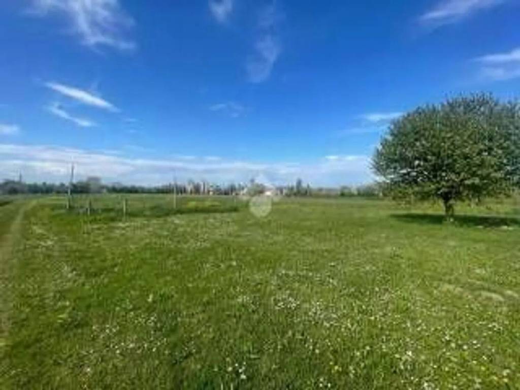 terreno agricolo in vendita a Quinto di Treviso