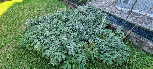 casa indipendente in vendita a Quinto di Treviso in zona Santa Cristina