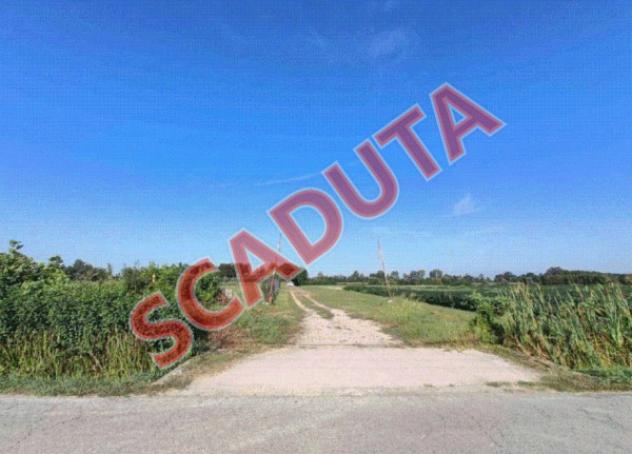 terreno agricolo in vendita a Quinto di Treviso