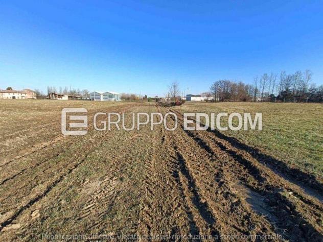 terreno agricolo in vendita a Quinto di Treviso