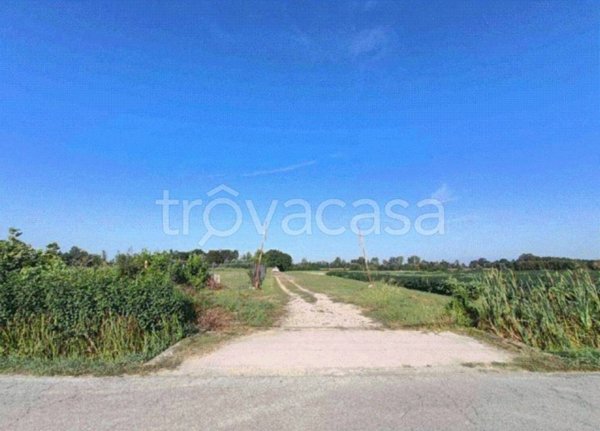 terreno agricolo in vendita a Quinto di Treviso