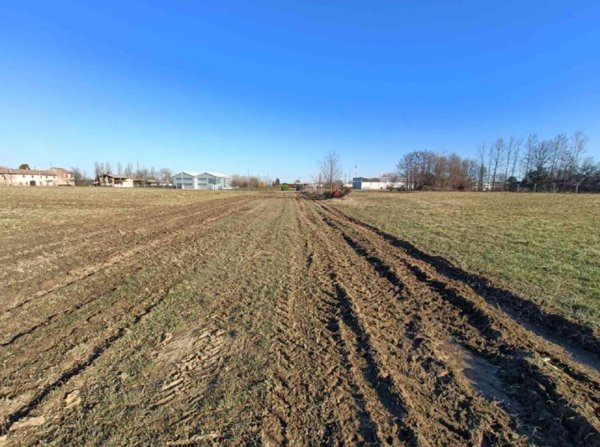 terreno agricolo in vendita a Quinto di Treviso