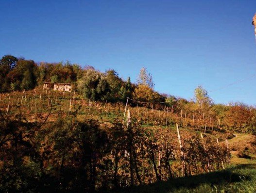 rudere in vendita a Refrontolo