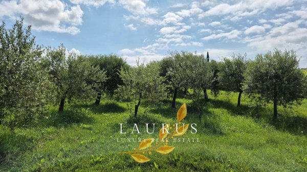 casa indipendente in vendita a Refrontolo