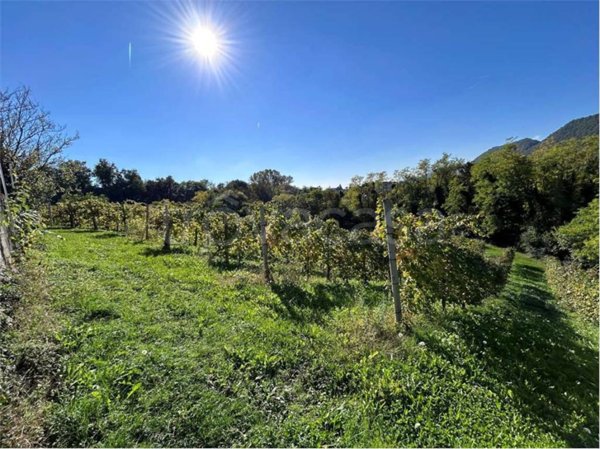 terreno agricolo in vendita a Refrontolo