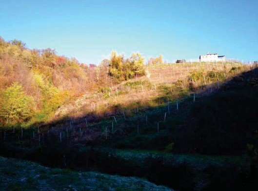 rudere in vendita a Refrontolo