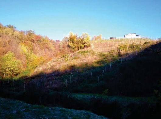 rudere in vendita a Refrontolo