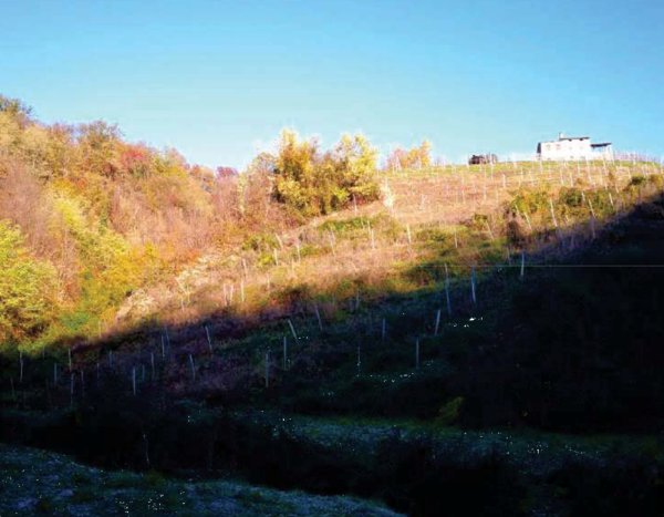 terreno agricolo in vendita a Refrontolo