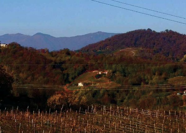 terreno agricolo in vendita a Refrontolo