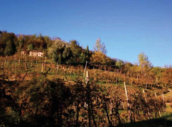 terreno agricolo in vendita a Refrontolo