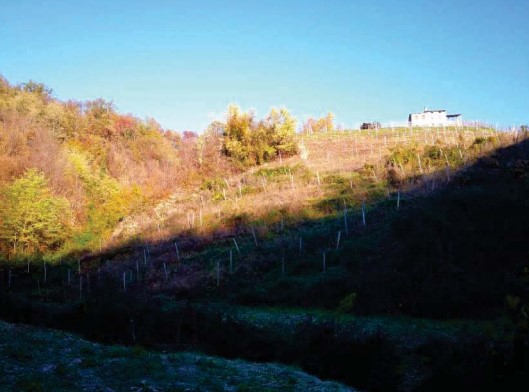 rudere in vendita a Refrontolo