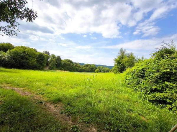 terreno agricolo in vendita a Revine Lago