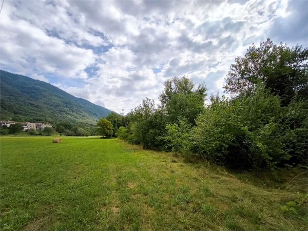 terreno agricolo in vendita a Revine Lago in zona Revine