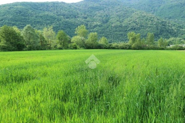 terreno agricolo in vendita a Revine Lago in zona Lago
