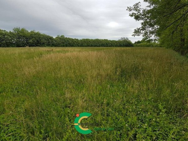 terreno agricolo in vendita a Riese Pio X in zona Poggiana