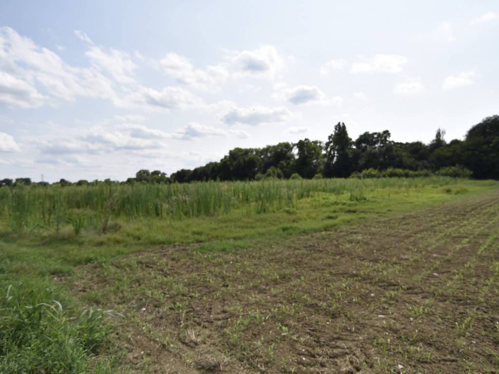 terreno agricolo in vendita a Riese Pio X