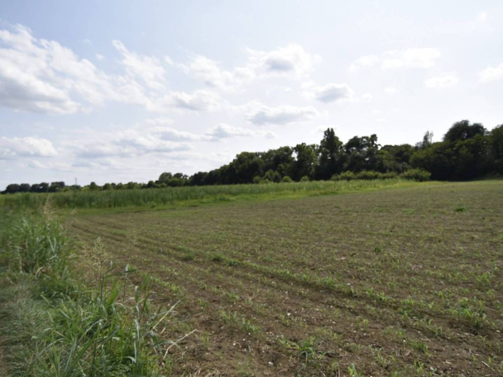 terreno agricolo in vendita a Riese Pio X