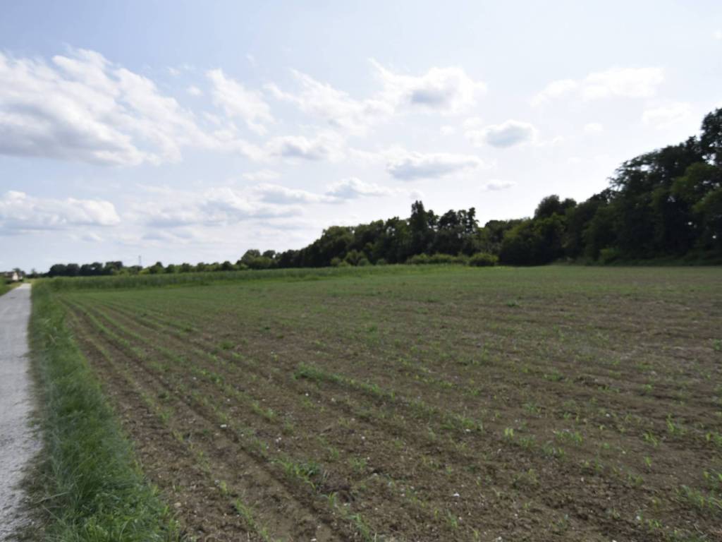 terreno agricolo in vendita a Riese Pio X