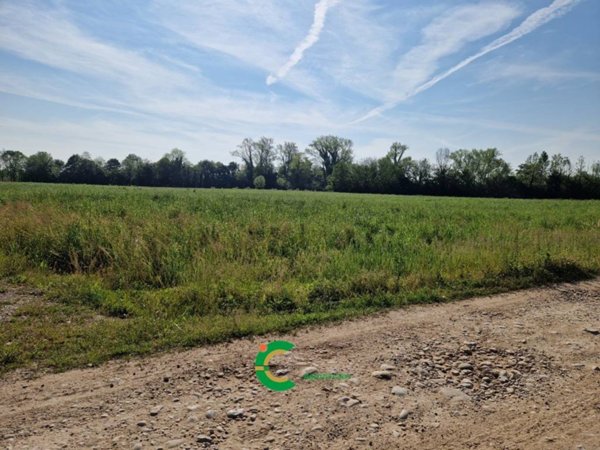terreno agricolo in vendita a Riese Pio X in zona Poggiana