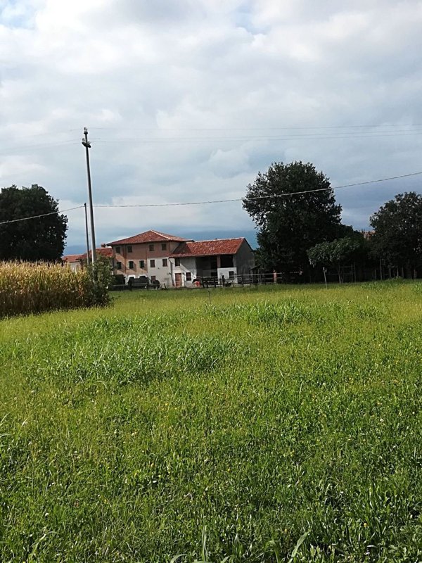 esavano in vendita a Riese Pio X in zona Vallà