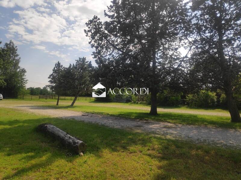 azienda agricola in vendita a Riese Pio X