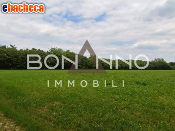 terreno agricolo in vendita a Riese Pio X