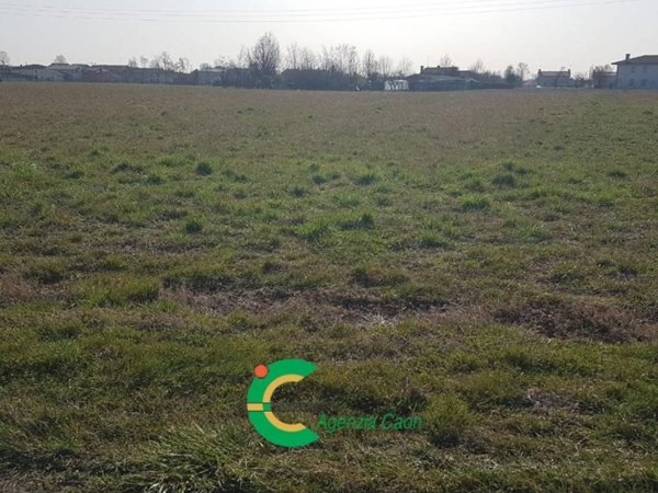 terreno agricolo in vendita a Riese Pio X in zona Vallà