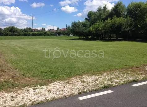 terreno agricolo in vendita a Riese Pio X