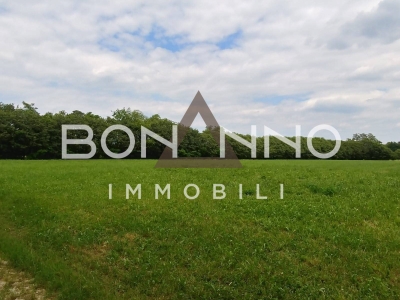 terreno agricolo in vendita a Riese Pio X