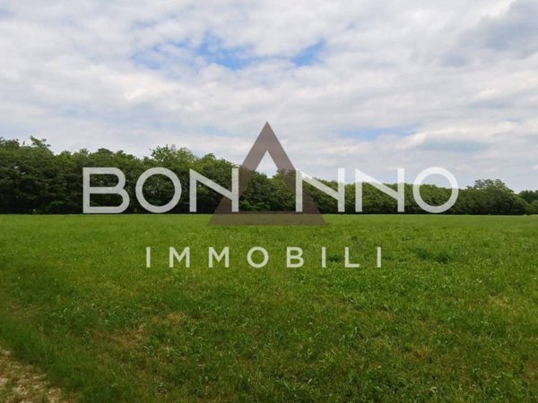 terreno agricolo in vendita a Riese Pio X in zona Poggiana