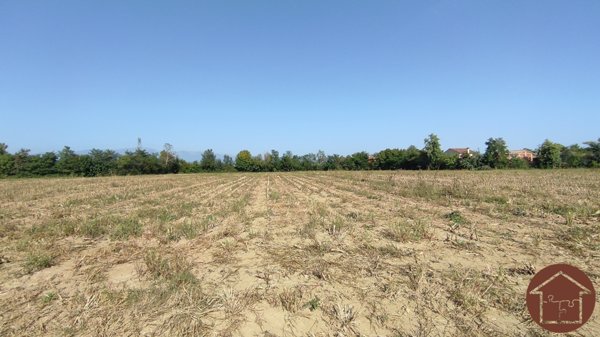 terreno agricolo in vendita a Riese Pio X
