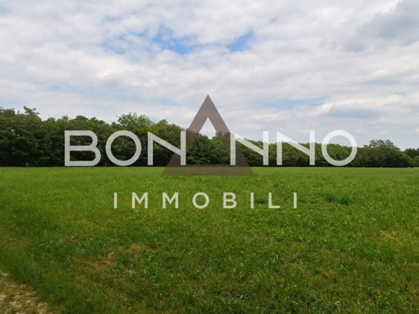 terreno agricolo in vendita a Riese Pio X