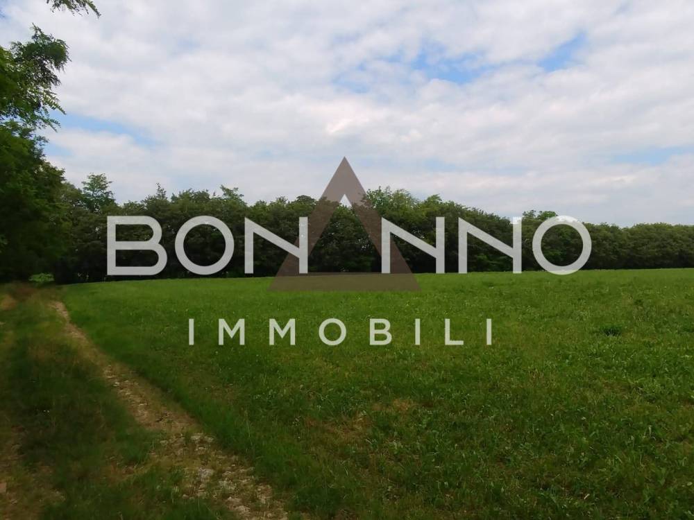 terreno agricolo in vendita a Riese Pio X