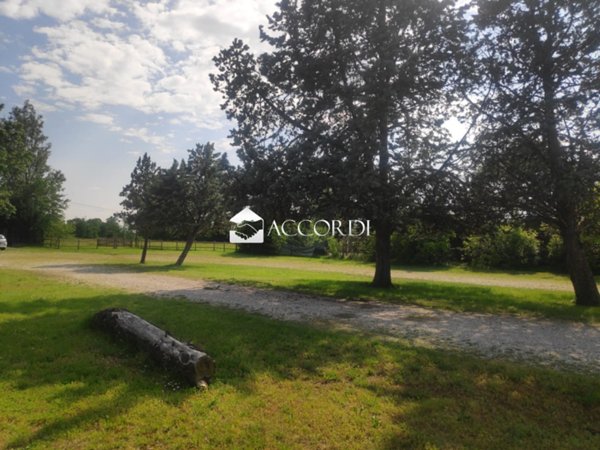 azienda agricola in vendita a Riese Pio X