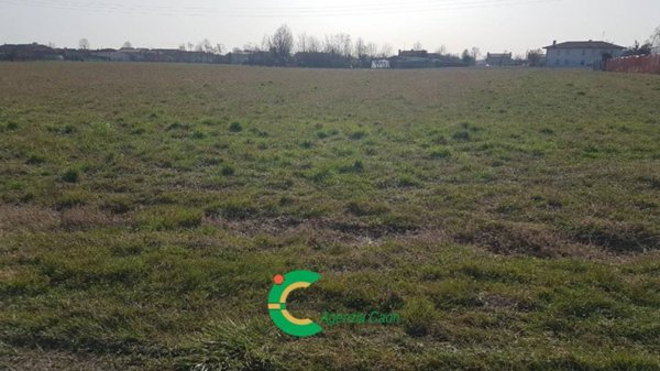 terreno agricolo in vendita a Riese Pio X in zona Vallà