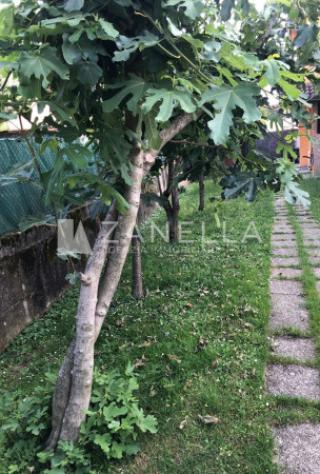 casa indipendente in vendita a Riese Pio X