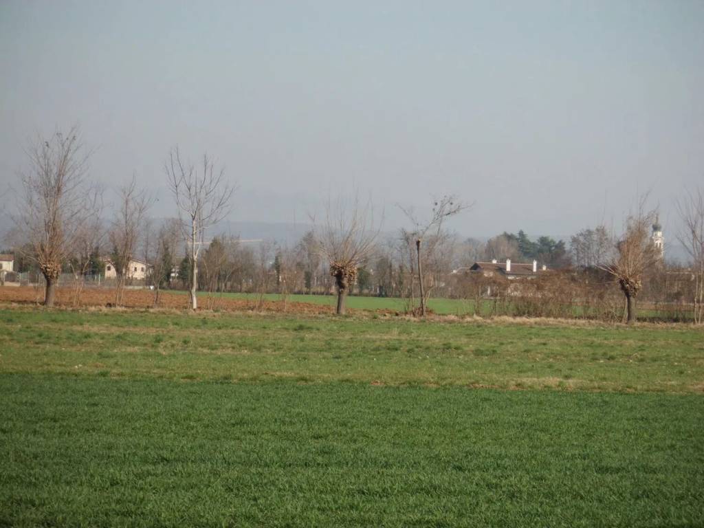 terreno agricolo in vendita a Riese Pio X