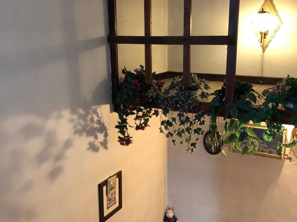 casa indipendente in vendita a Riese Pio X