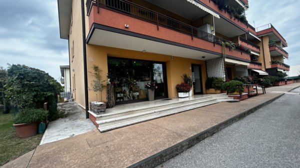 negozio in vendita a Riese Pio X