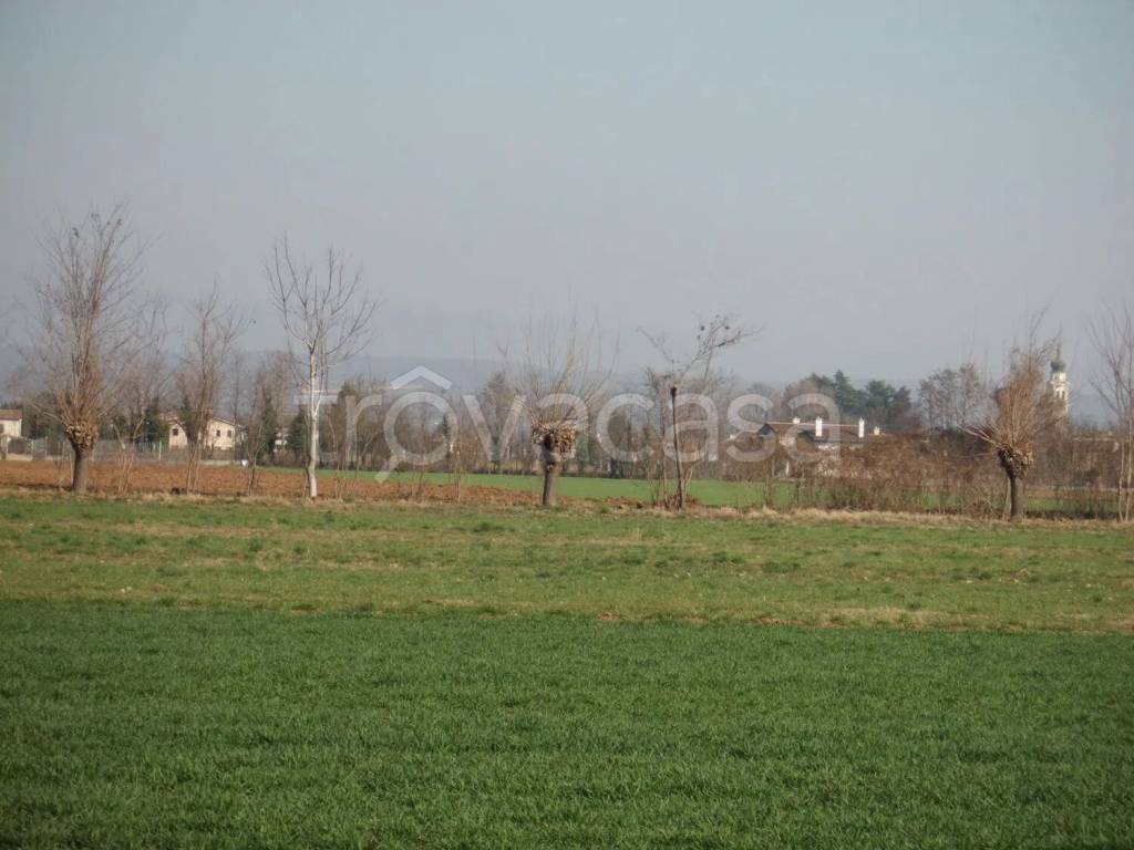 terreno agricolo in vendita a Riese Pio X