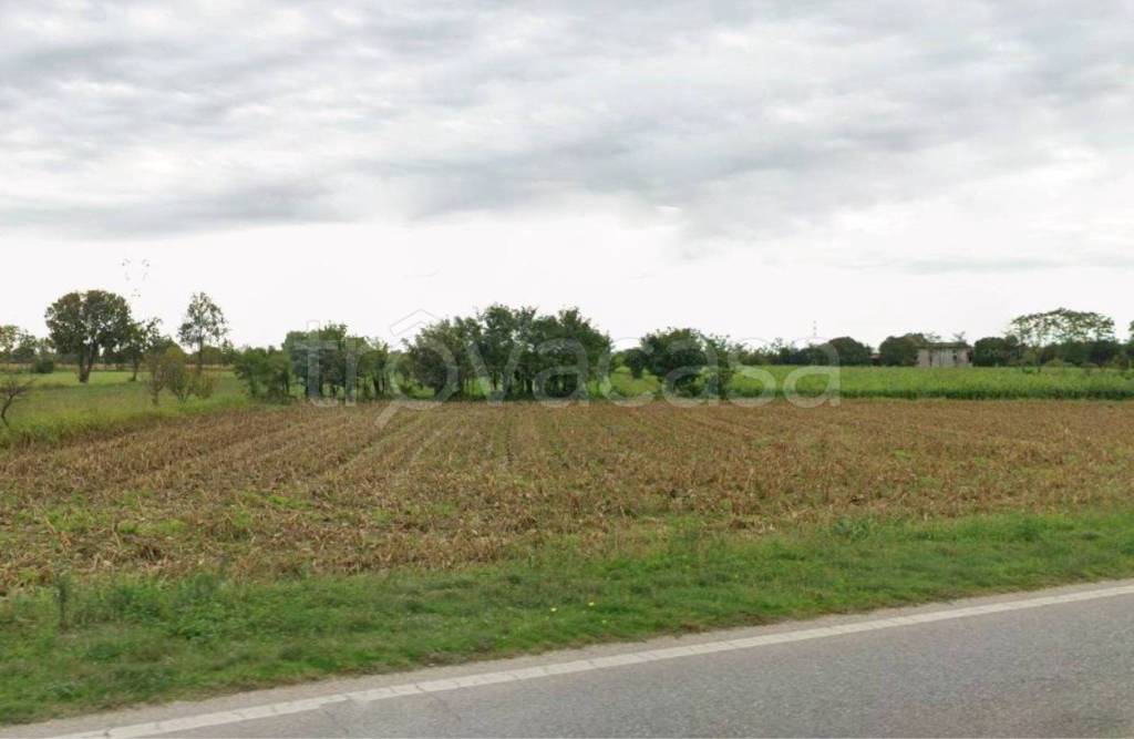 terreno agricolo in vendita a Riese Pio X in zona Vallà